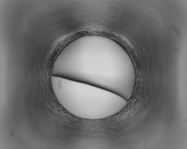 X0000111251016200907021015