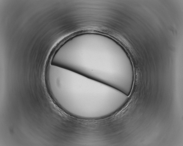 X0000111251020200907021015