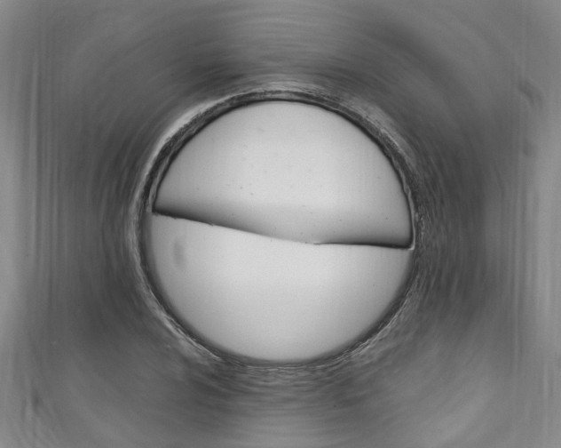 X0000111251024200907021015