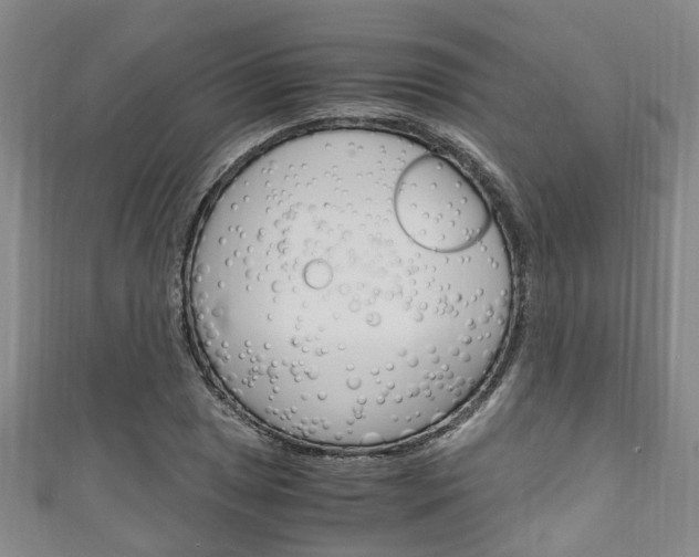 X0000111251025200907021015