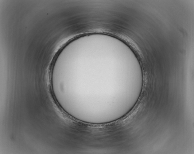 X0000111251031200907021015