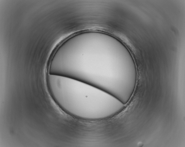 X0000111251032200907021015