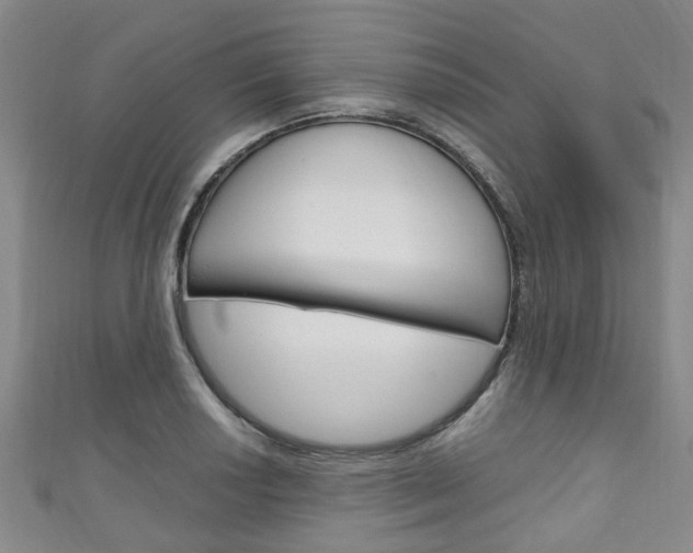 X0000111251034200907021015