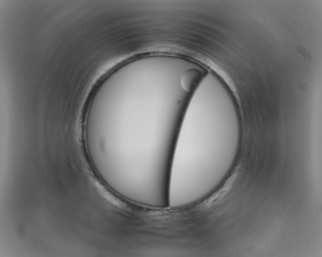 X0000111251037200907021015