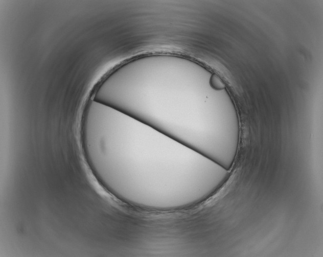 X0000111251038200907021015