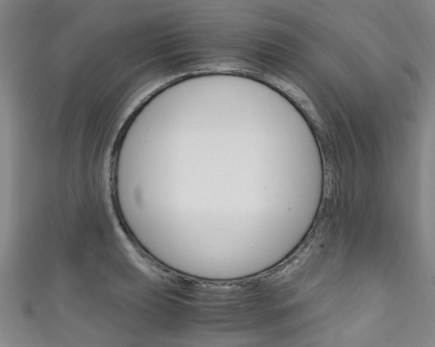 X0000111251039200907021015