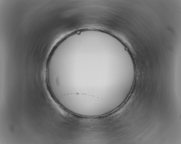 X0000111251040200907021015