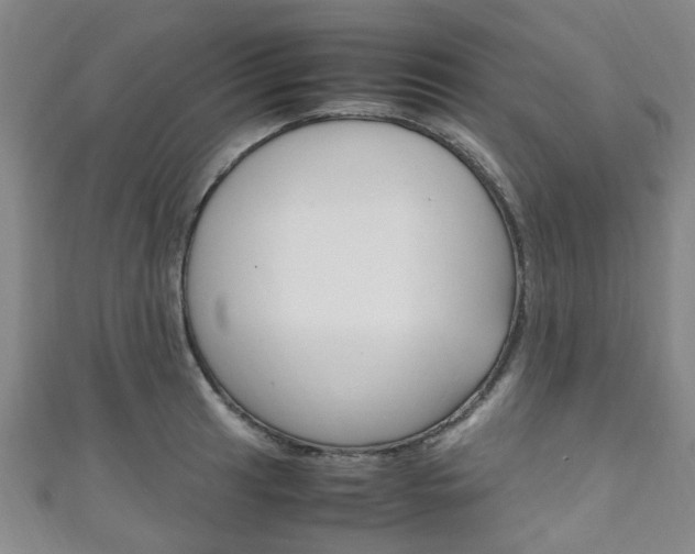 X0000111251041200907021015