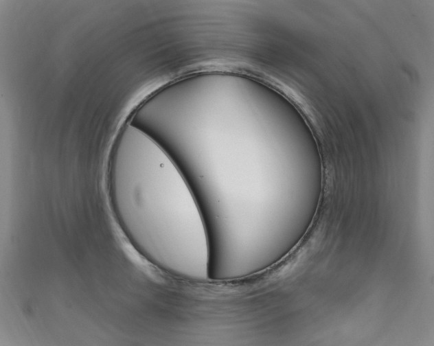 X0000111251042200907021015