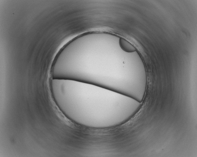 X0000111251044200907021015