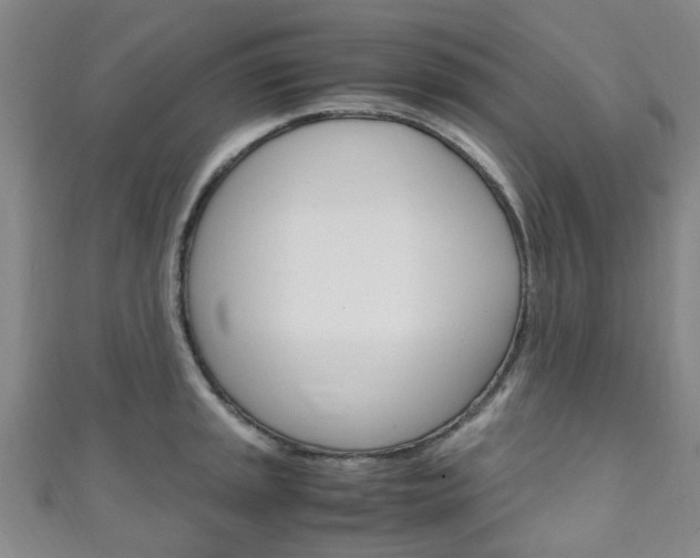 X0000111251045200907021015