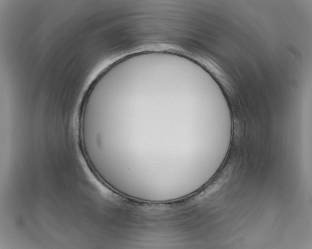 X0000111251046200907021015
