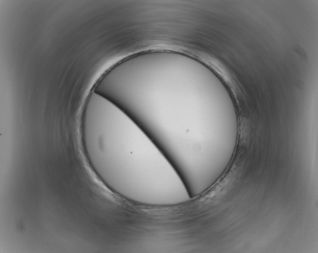 X0000111251048200907021016