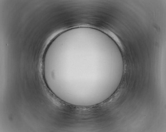 X0000111251051200907021016