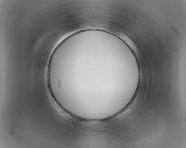 X0000111251052200907021016