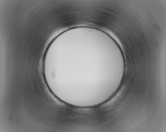 X0000111251053200907021016