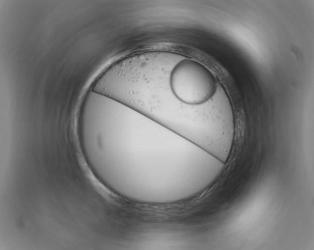 X0000111251054200907021016
