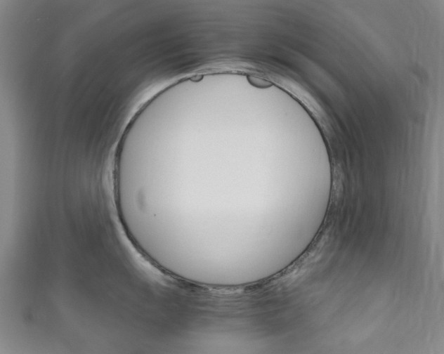 X0000111251055200907021016