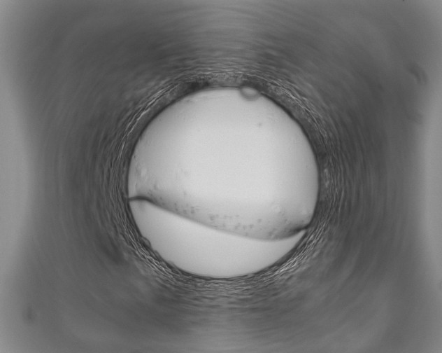 X0000111251057200907021015