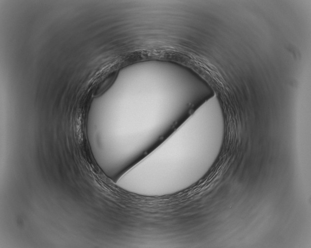 X0000111251060200907021015