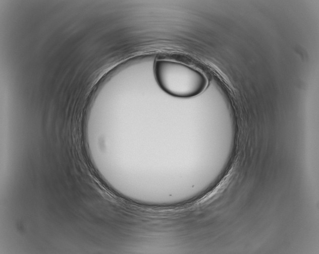 X0000111251065200907021015