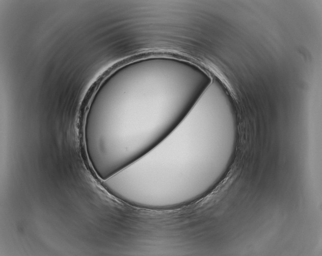 X0000111251068200907021015