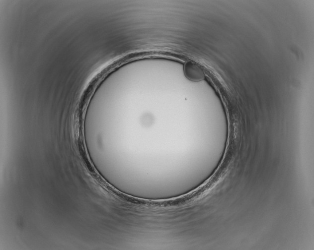 X0000111251069200907021015
