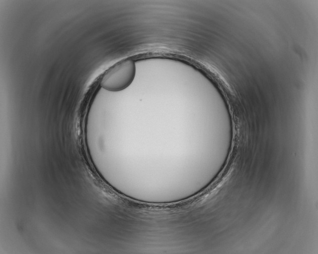 X0000111251070200907021015