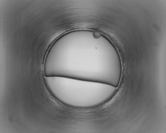 X0000111251073200907021015