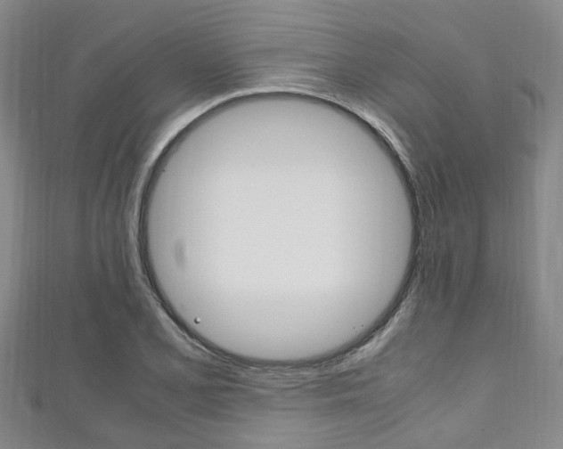 X0000111251077200907021015