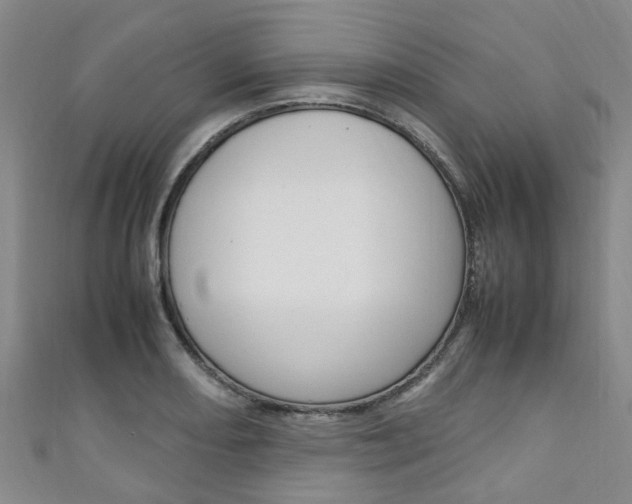 X0000111251082200907021015