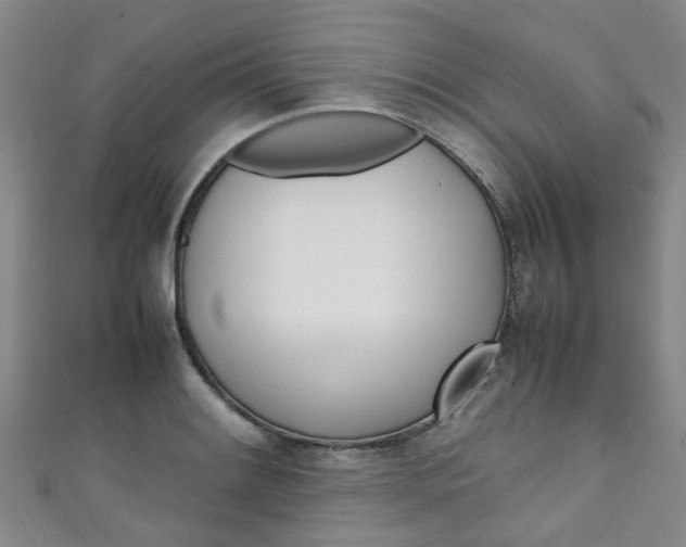 X0000111251084200907021015