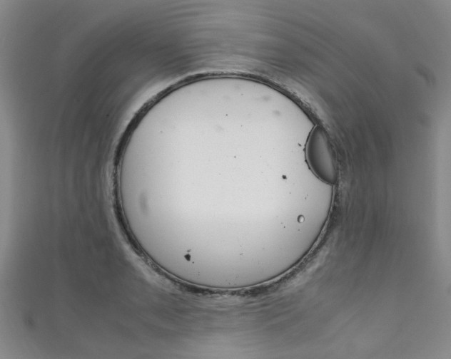 X0000111251085200907021015