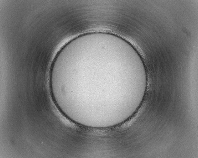 X0000111251086200907021015