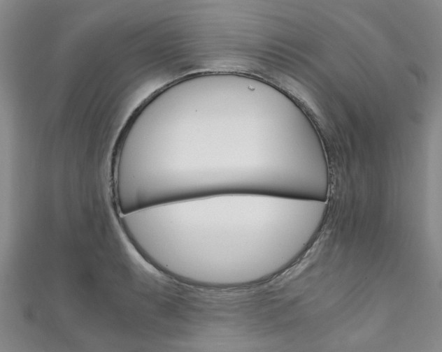 X0000111251087200907021015