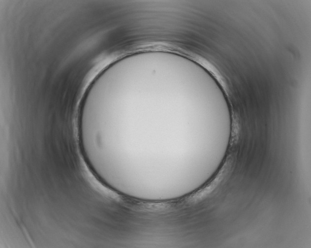 X0000111251090200907021015
