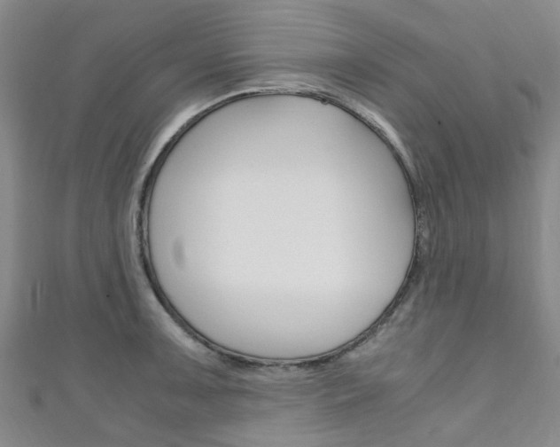 X0000111251091200907021015