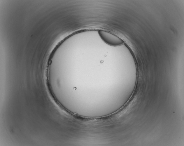 X0000111251093200907021015