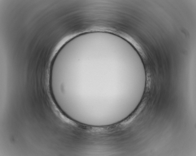 X0000111251094200907021015