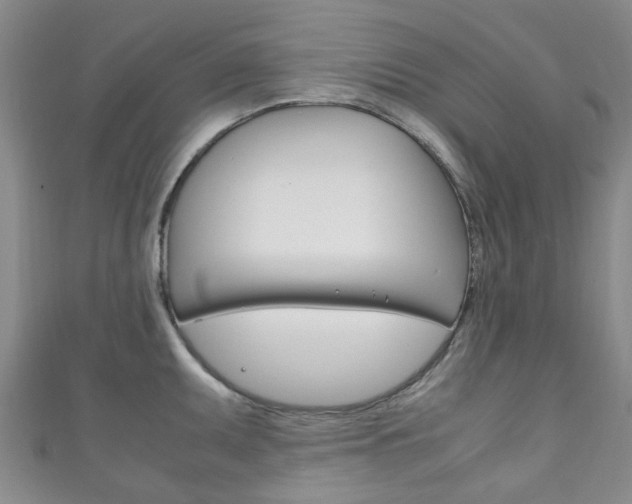 X0000111251095200907021015