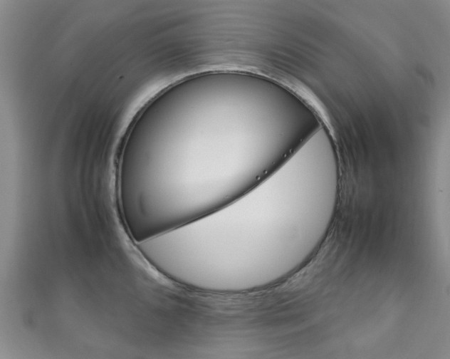 X0000111251096200907021014
