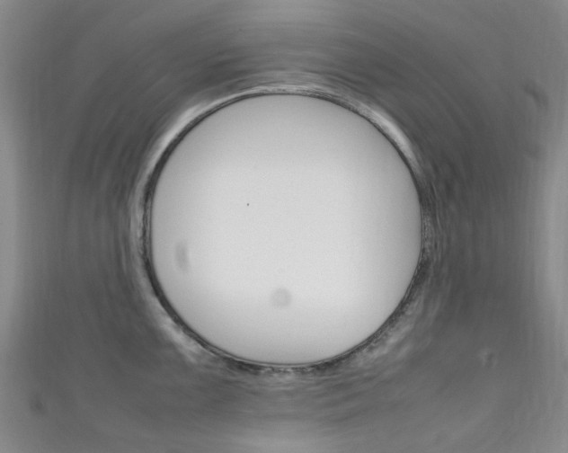 X0000111251099200907021014
