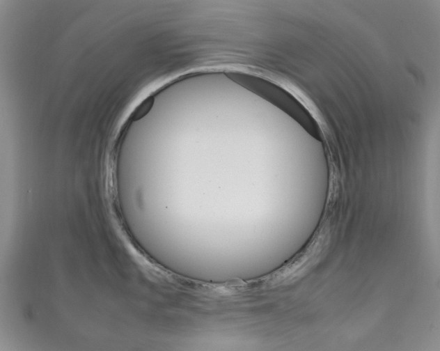 X0000111251101200907021014