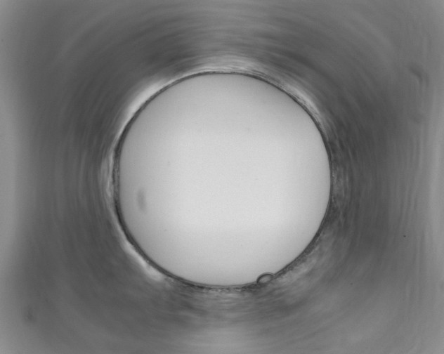 X0000111251103200907021014