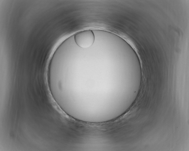 X0000111251104200907021014