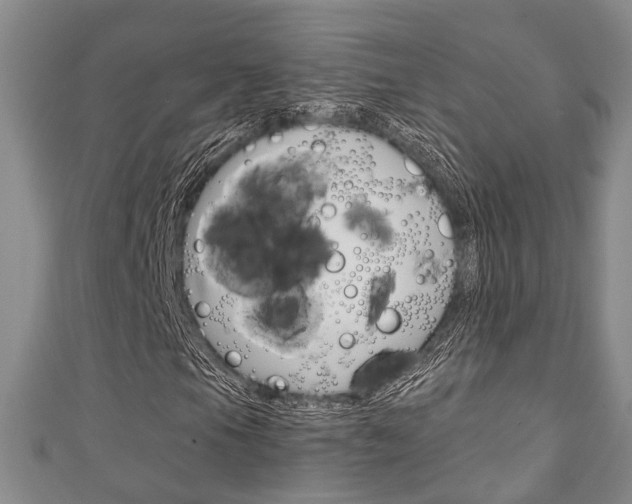 X0000111251105200907021014