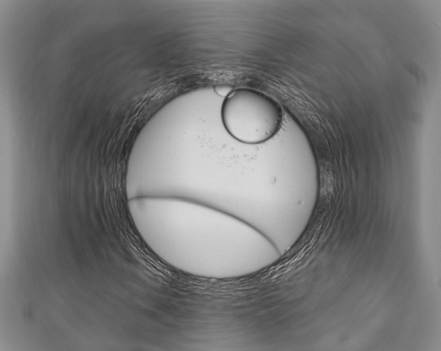 X0000111251106200907021014