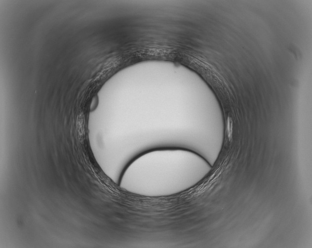X0000111251107200907021014