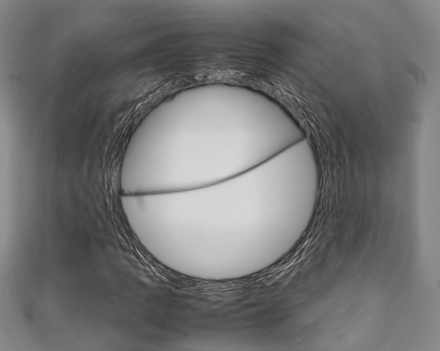 X0000111251109200907021014