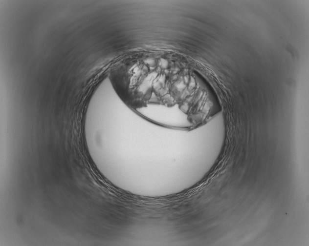X0000111251110200907021014